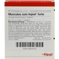 MUSCULUS SUIS Injeel forte Ampullen