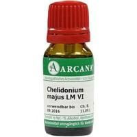 CHELIDONIUM MAJUS LM 6 Dilution