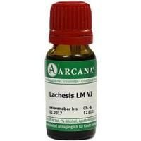 LACHESIS LM 6 Dilution