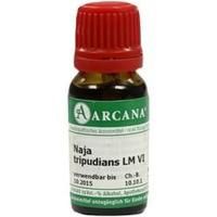 NAJA TRIPUDIANS LM 6 Dilution