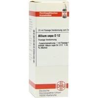 ALLIUM CEPA D 12 Dilution