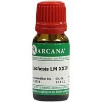 LACHESIS LM 24 Dilution