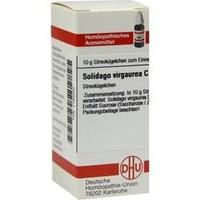 SOLIDAGO VIRGAUREA C 30 Globuli