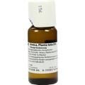 ARNICA PLANTA tota D 6 Dilution