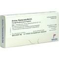 ARNICA PLANTA tota Rh D 3 Ampullen