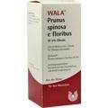 PRUNUS SPINOSA E floribus W5% Oleum