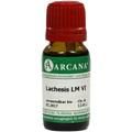 LACHESIS LM 6 Dilution