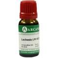 LACHESIS LM 18 Dilution