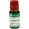 LYCOPODIUM LM 6 Dilution