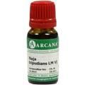 NAJA TRIPUDIANS LM 6 Dilution