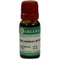 NUX VOMICA LM 12 Dilution