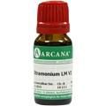 STRAMONIUM LM 6 Dilution