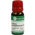 KALIUM PHOSPHORICUM LM 6 Dilution