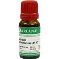 NATRIUM CARBONICUM LM 6 Dilution