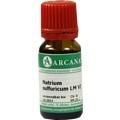 NATRIUM MURIATICUM LM 6 Dilution