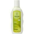 WELEDA Hirse Pflege-Shampoo